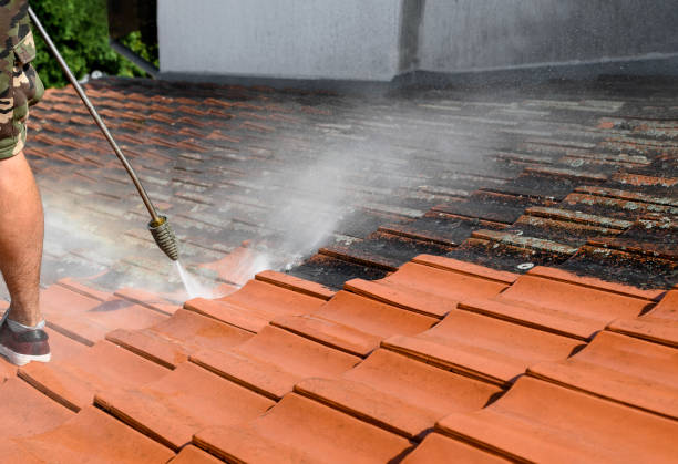 Best Roof Power Washing Services  in Suwanee, GA